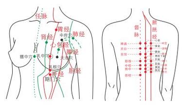 成都棕南医院(乳腺科) 医院技术  关注热度:60 之经络穴位疗法